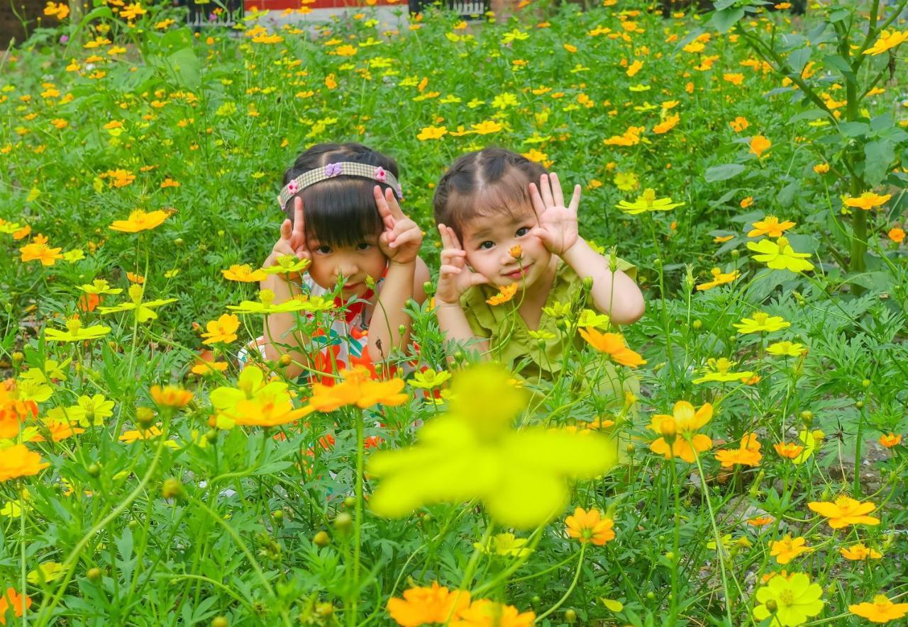 Ninh Binh Mountain Side Homestay & Cafe المظهر الخارجي الصورة