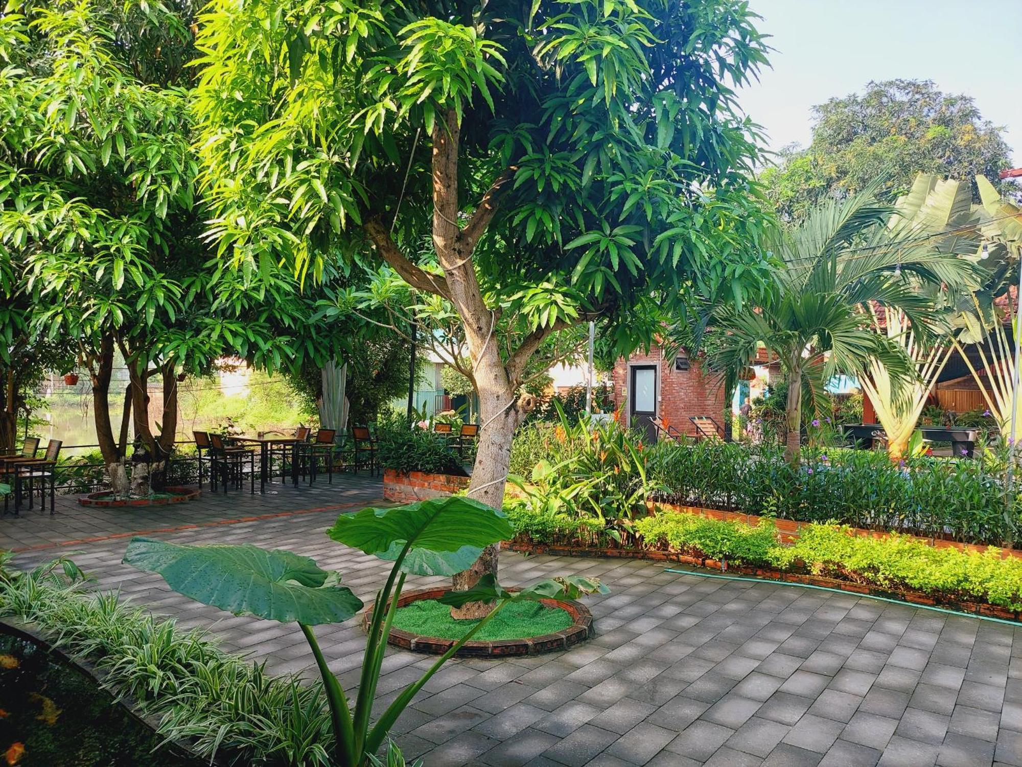 Ninh Binh Mountain Side Homestay & Cafe المظهر الخارجي الصورة