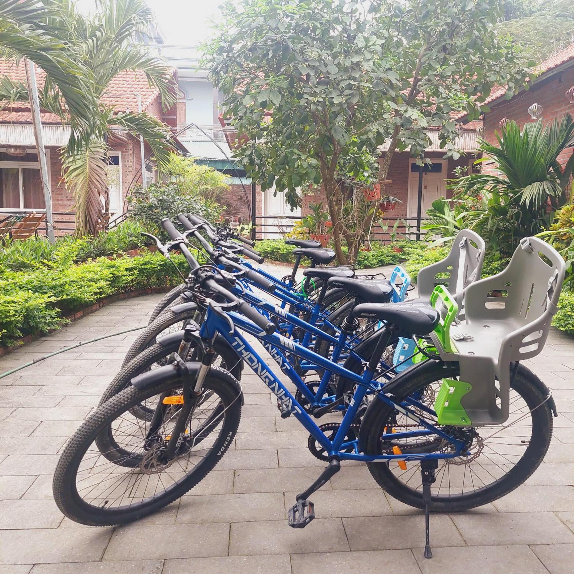 Ninh Binh Mountain Side Homestay & Cafe المظهر الخارجي الصورة